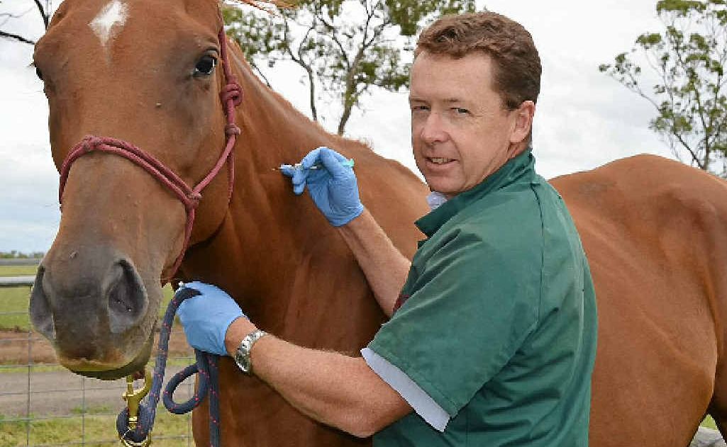 VACCINATE TODAY: Chris Reardon of Warwick Vet Clinic is encouraging horse owners to vaccinate their horses from hendra virus now, before show season. VACCINATE TODAY: Chris Reardon of Warwick Vet Clinic is encouraging horse owners to vaccinate their horses from hendra virus now, before show season.
